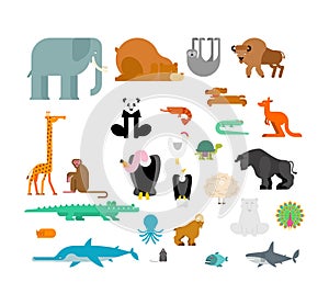 Animals set. Beast collection. cute cartoon animal.Â jungle and forest Wild nature. Fauna of Different Continents